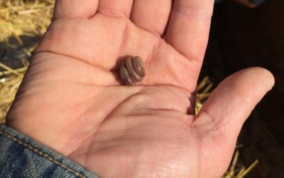 Nos amis de la terre