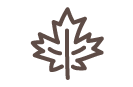 feuille